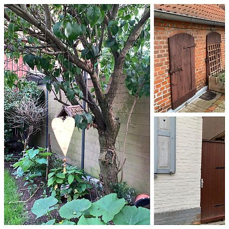 Ferienhaus Liebenswert An Der St Stephan Kirche Tangermuende Ngoại thất bức ảnh
